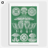 2-8_Ernst-Haeckel_picture-crop