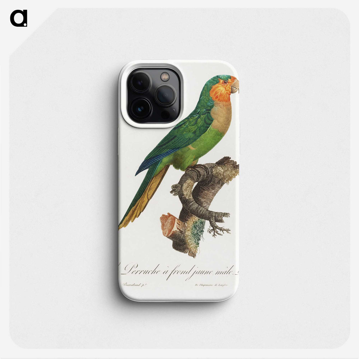 2-8_Francois-Levaillant_phone