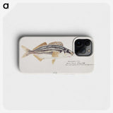 2-8_Frank-Edward-Clarke_phone