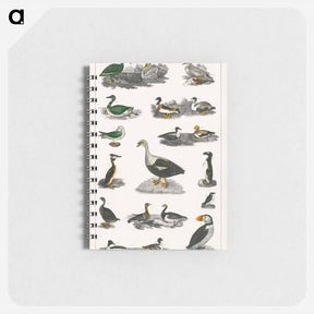 アートメモ帳-Birds from Animated Nature
 - ゴールドスミスの生き生きとした自然 Memo.