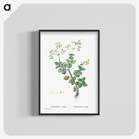 2-8_Histoire-des-Plantes-Grasses_blk-crop