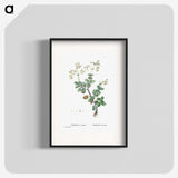 2-8_Histoire-des-Plantes-Grasses_blk