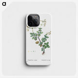 2-8_Histoire-des-Plantes-Grasses_phone