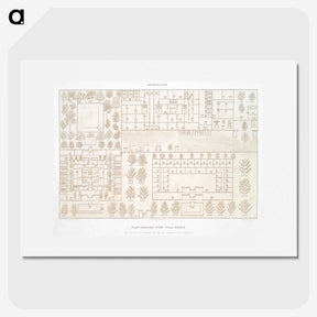 2-8_History-of-Egyptian-Art_picture