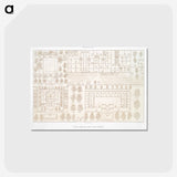 2-8_History-of-Egyptian-Art_postcard