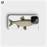 2-8_Ichtyologie-ou-Histoire-naturelle_phone