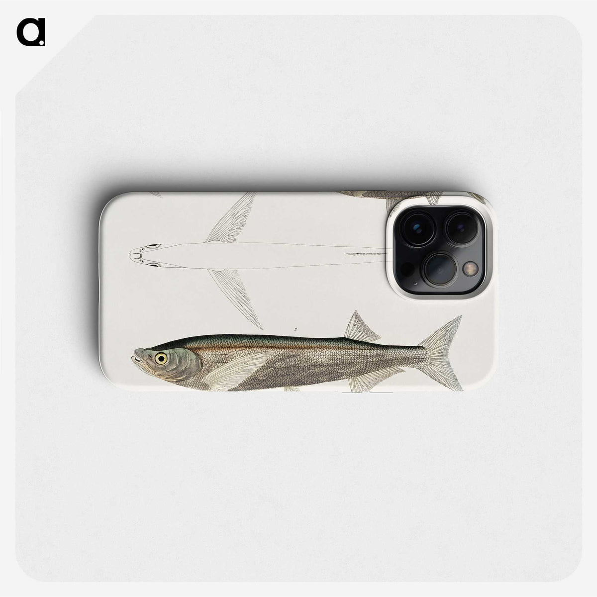 2-8_Indian-Zoology_phone