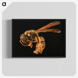 2-8_Insects-Unlocked-Project_blk-crop