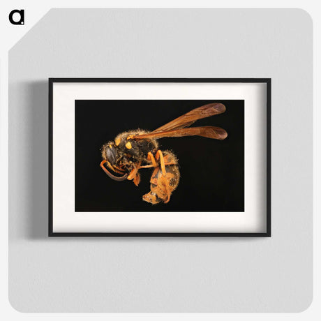 2-8_Insects-Unlocked-Project_blk