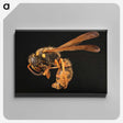 2-8_Insects-Unlocked-Project_canvas