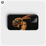 2-8_Insects-Unlocked-Project_phone