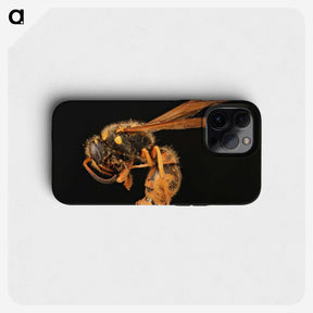 2-8_Insects-Unlocked-Project_phone