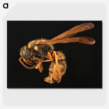 2-8_Insects-Unlocked-Project_picture-crop
