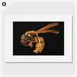 2-8_Insects-Unlocked-Project_picture