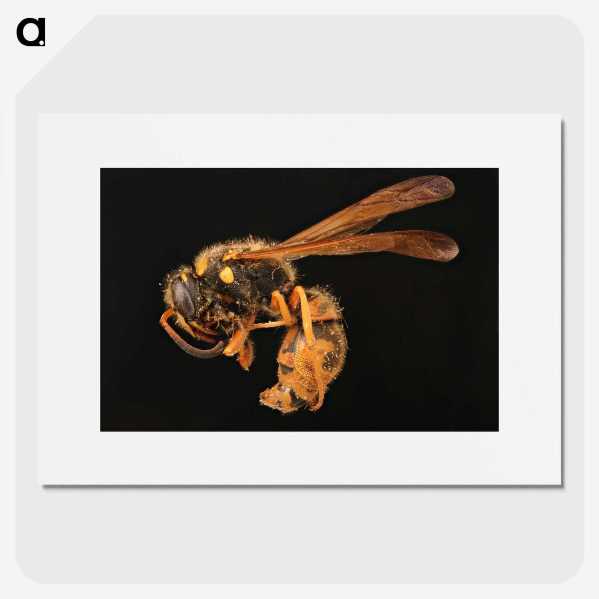 2-8_Insects-Unlocked-Project_picture