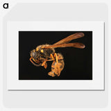 2-8_Insects-Unlocked-Project_picture