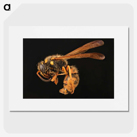 2-8_Insects-Unlocked-Project_picture