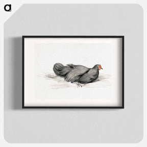 アートポスター-Black chicken drawing in high resolution by Jean Bernard - ジャン ベルナール Poster.