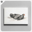 アートパネル-Black chicken drawing in high resolution by Jean Bernard - ジャン ベルナール Canvas.