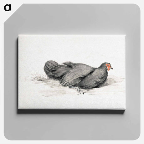 アートパネル-Black chicken drawing in high resolution by Jean Bernard - ジャン ベルナール Canvas.