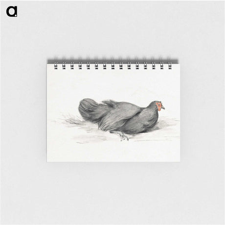 2-8_Jean-Bernard_memo