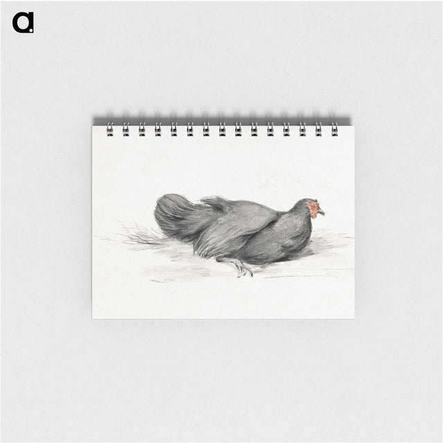 2-8_Jean-Bernard_memo