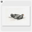 2-8_Jean-Bernard_picture