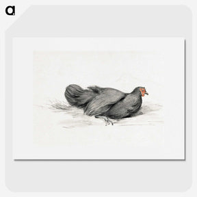 2-8_Jean-Bernard_picture