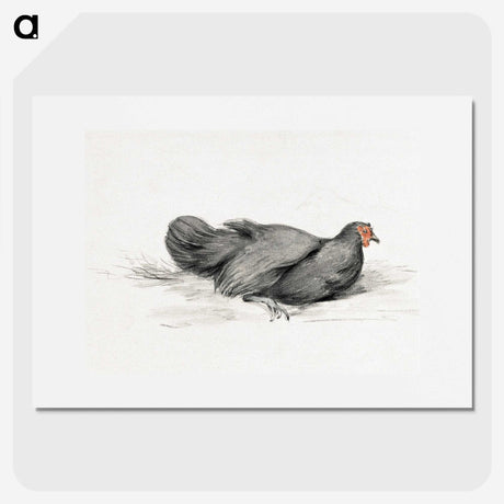 2-8_Jean-Bernard_picture