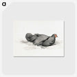 2-8_Jean-Bernard_postcard