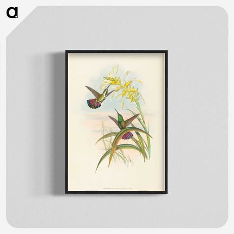 2-8_John-Gould_blk-crop