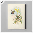 2-8_John-Gould_canvas