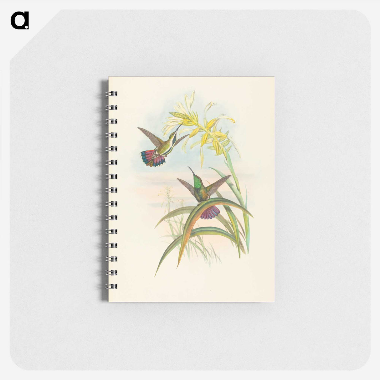 2-8_John-Gould_memo