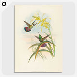 2-8_John-Gould_picture-crop
