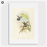 2-8_John-Gould_picture