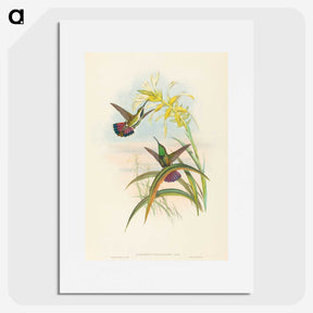 2-8_John-Gould_picture