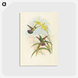 2-8_John-Gould_postcard