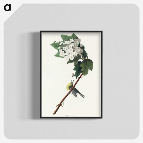 2-8_John-James-Audubon_blk-crop