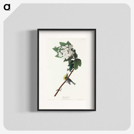 2-8_John-James-Audubon_blk