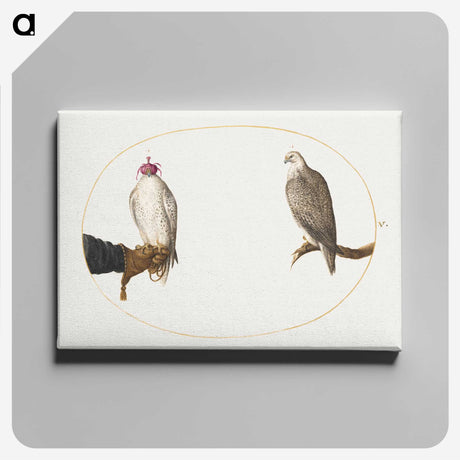 2-8_Joris-Hoefnagel_canvas