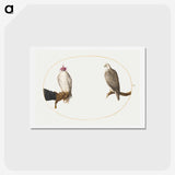 2-8_Joris-Hoefnagel_hagaki