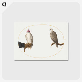 2-8_Joris-Hoefnagel_postcard