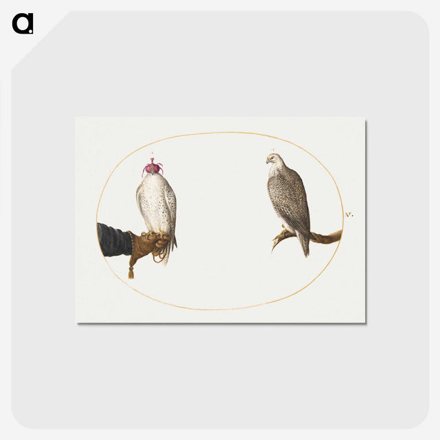 2-8_Joris-Hoefnagel_postcard