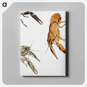 アートパネル-Sketches of crayfish - ユリー デ フラーハ Canvas.