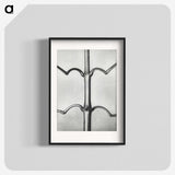 2-8_Karl-Blossfeldt_blk