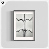 Impatiens Glanduligera - カール ブロスフェルト Poster.