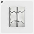 2-8_Karl-Blossfeldt_memo
