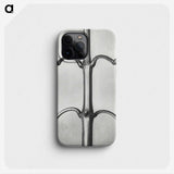 2-8_Karl-Blossfeldt_phone