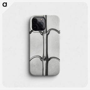 2-8_Karl-Blossfeldt_phone