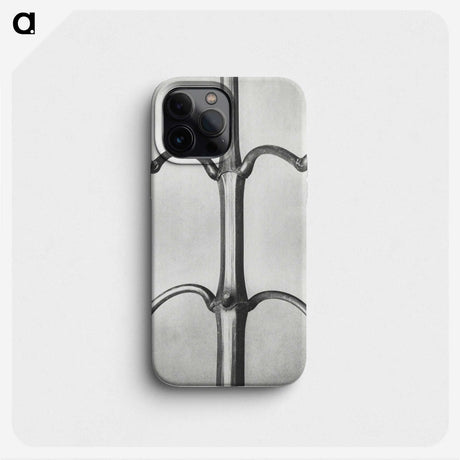 2-8_Karl-Blossfeldt_phone